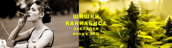 молекула духа Аркадак