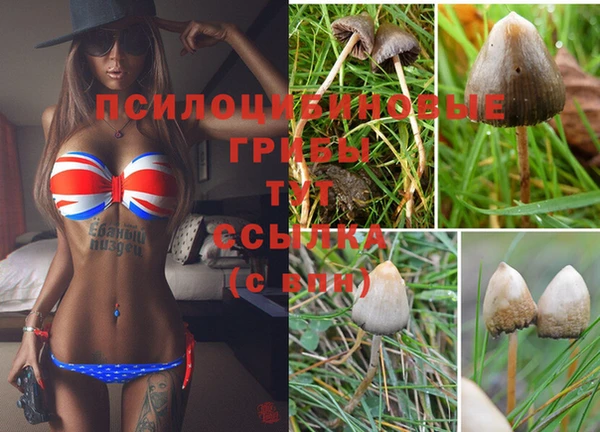 дурь Армянск