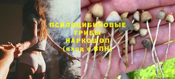 2c-b Арсеньев