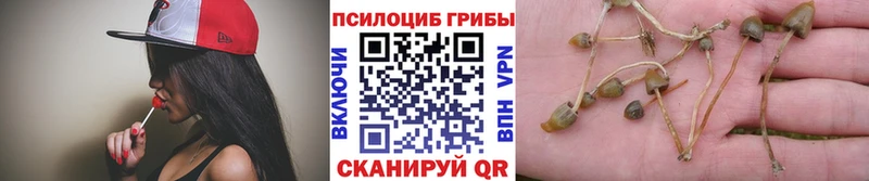 Галлюциногенные грибы MAGIC MUSHROOMS  купить наркотик  Саки 
